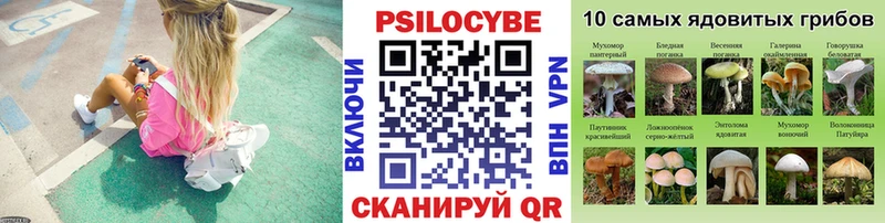 Псилоцибиновые грибы Psilocybe  наркота  гидра tor  Сорск 